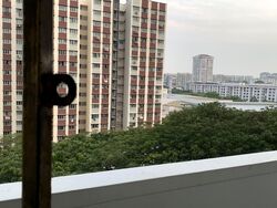 Blk 503 Bedok North Street 3 (Bedok), HDB 3 Rooms #605242701
